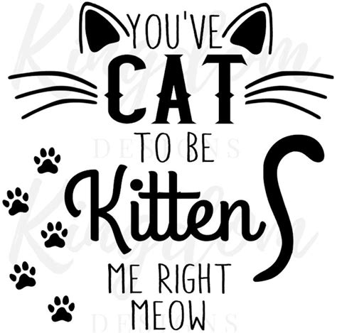 Download Free You Have Got to be Kitten Me Right Now SVG/PNG Graphic Crafts
